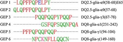 Thermal and Acidic Treatments of Gluten Epitopes Affect Their Recognition by HLA-DQ2 in silico